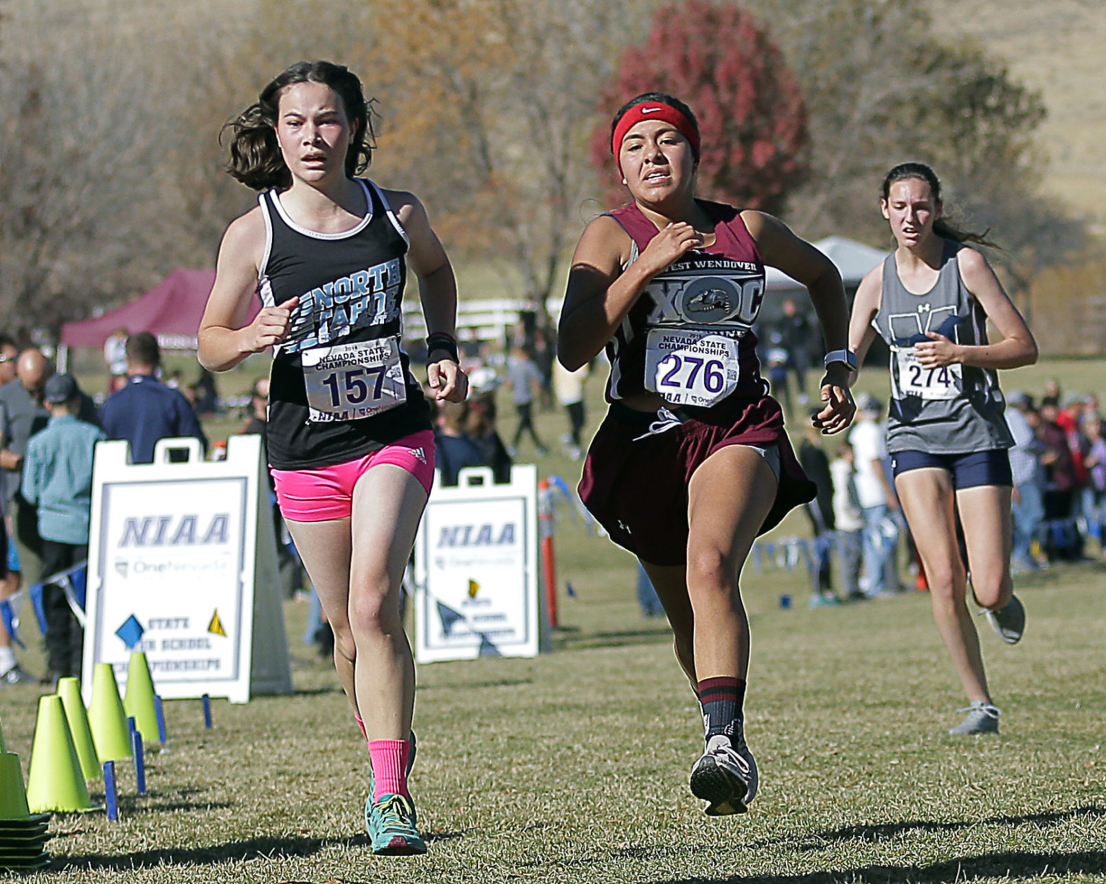 Divison 1A-2A Girls State Cross Country 21.jpg